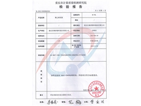 檢驗報告