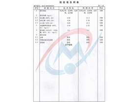 產(chǎn)品檢驗(yàn)報(bào)告2-賽普