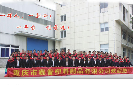 賽普簡(jiǎn)介