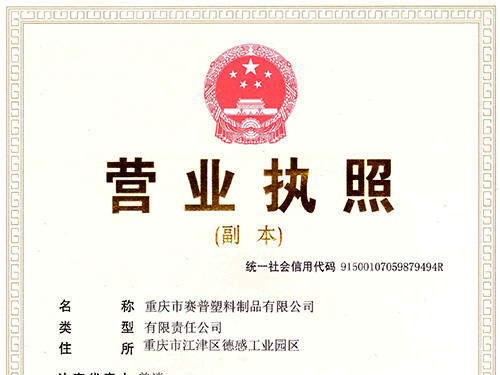 重慶賽普實業有限公司-營業執照